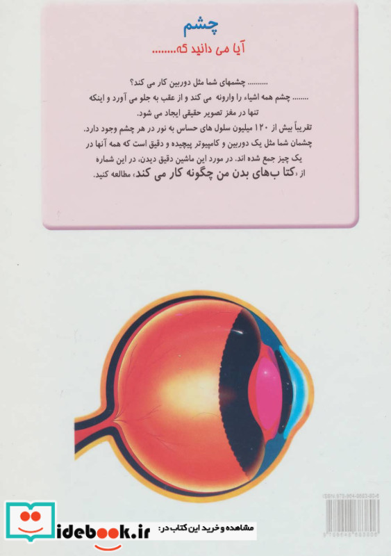 چگونه بدن من کار می کند11