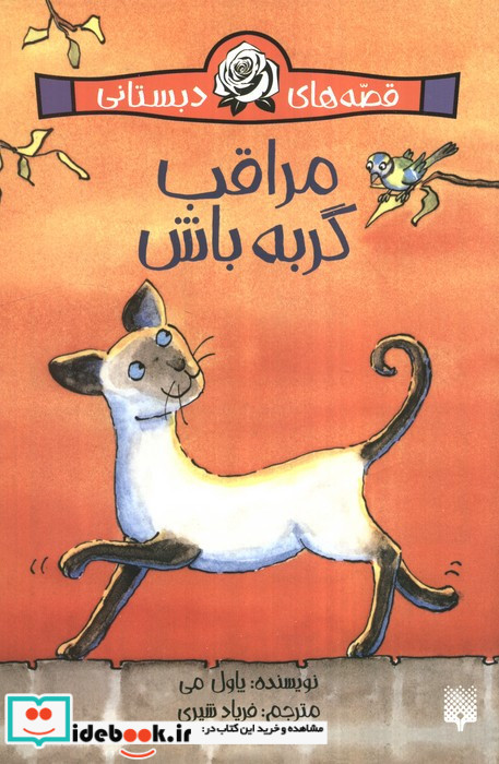 مراقب گربه باش