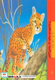 این کیه و چه شکلیه