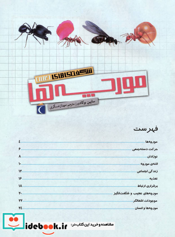 مورچه ها