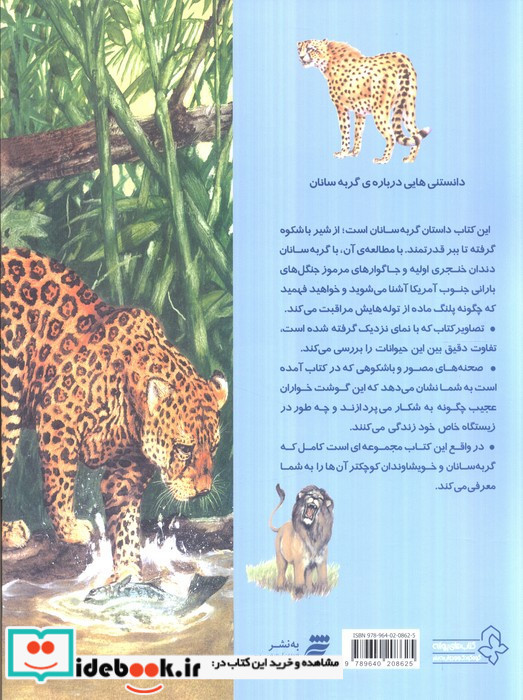 دانستنی هایی درباره ی گربه سانان