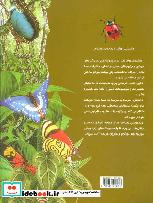 دانستنیهایی درباره حشرات