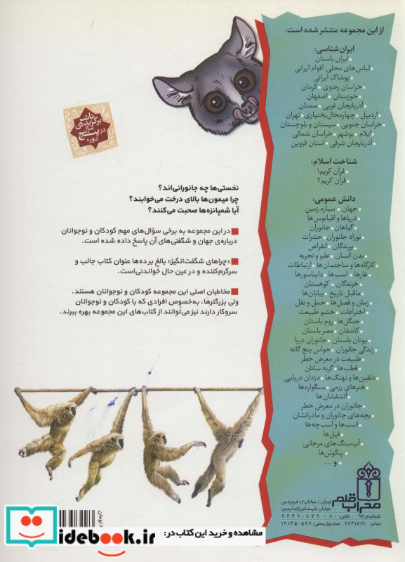 چراهای شگفت انگیز شمپانزه ها