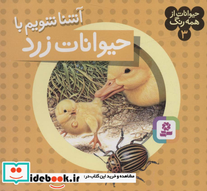 آشنا شویم با حیوانات زرد