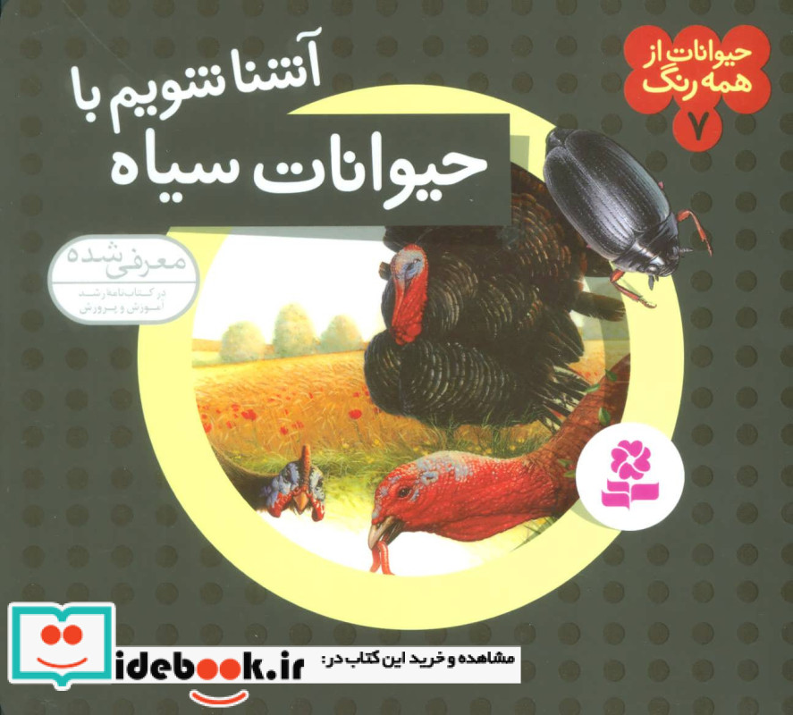 آشنا شویم با حیوانات سیاه