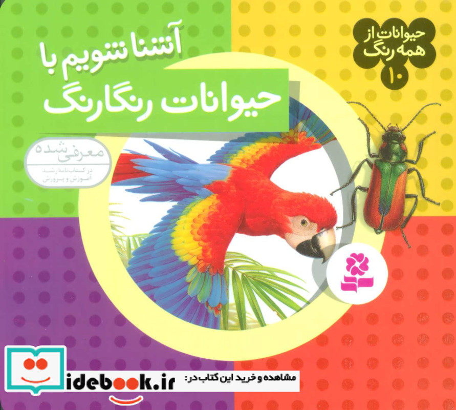 آشنا شویم با حیوانات رنگارنگ
