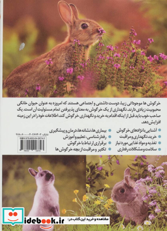خرگوش نشر جاجرمی