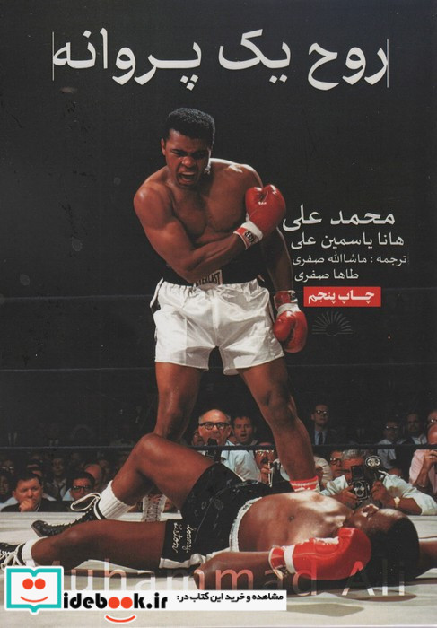 روح یک پروانه