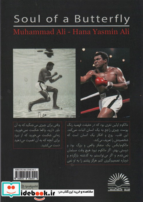 روح یک پروانه
