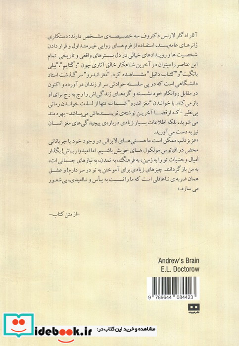 مغز اندرو