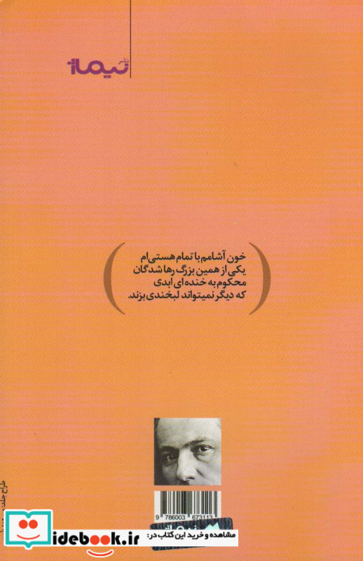 دندی شهر