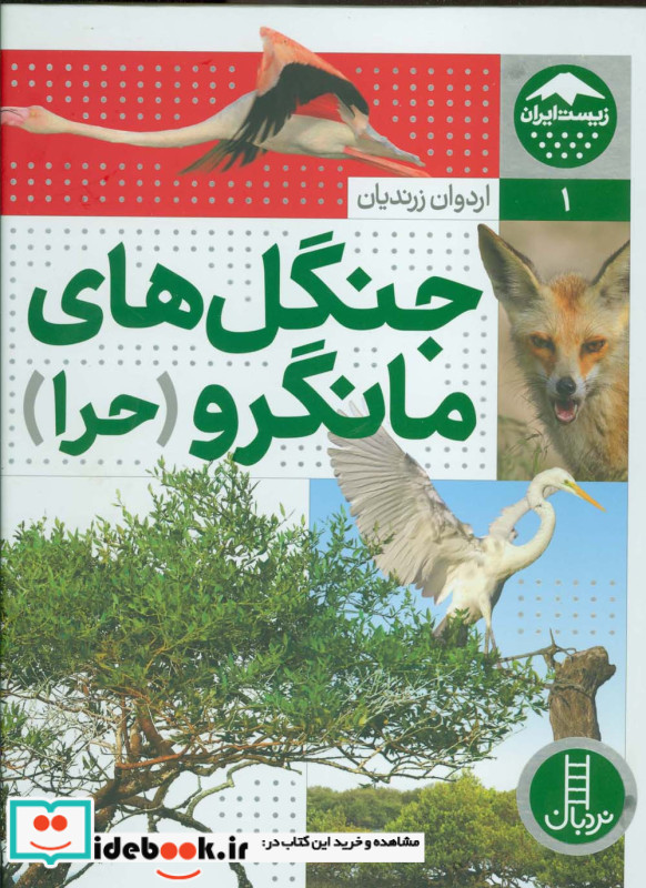 جنگل های مانگرو