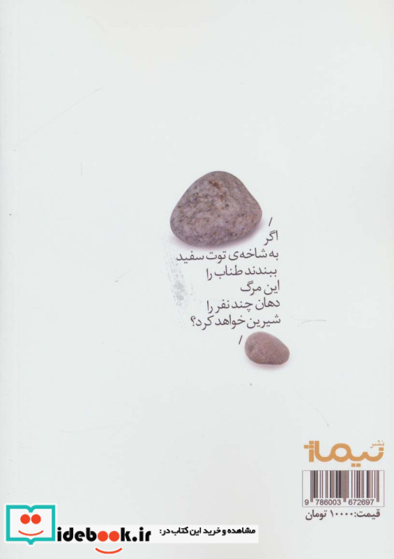 سرزمین سنگ پشت ها