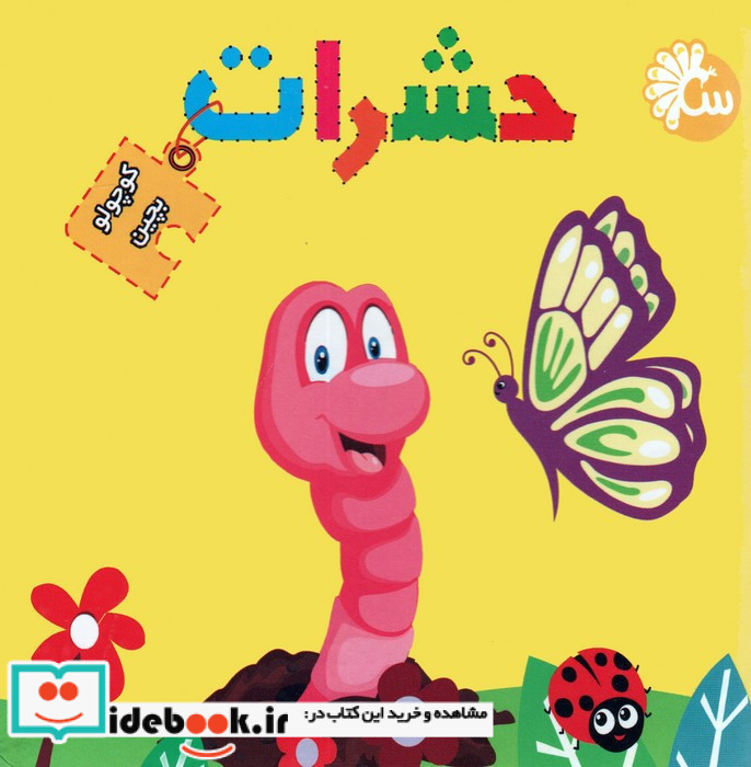 حشرات نشر آینه قلم