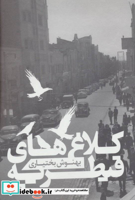 کلاغ های قیطریه