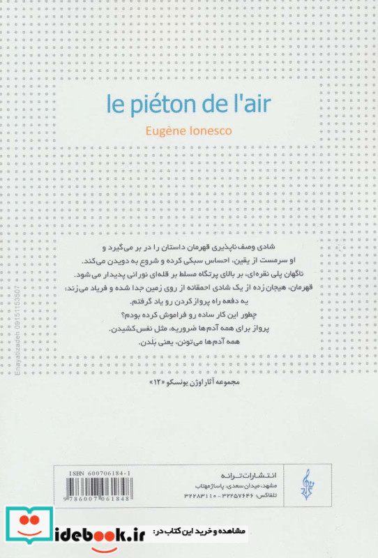 پیاده در هوا