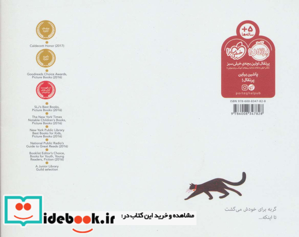 گربه را دیدند نشر پرتقال