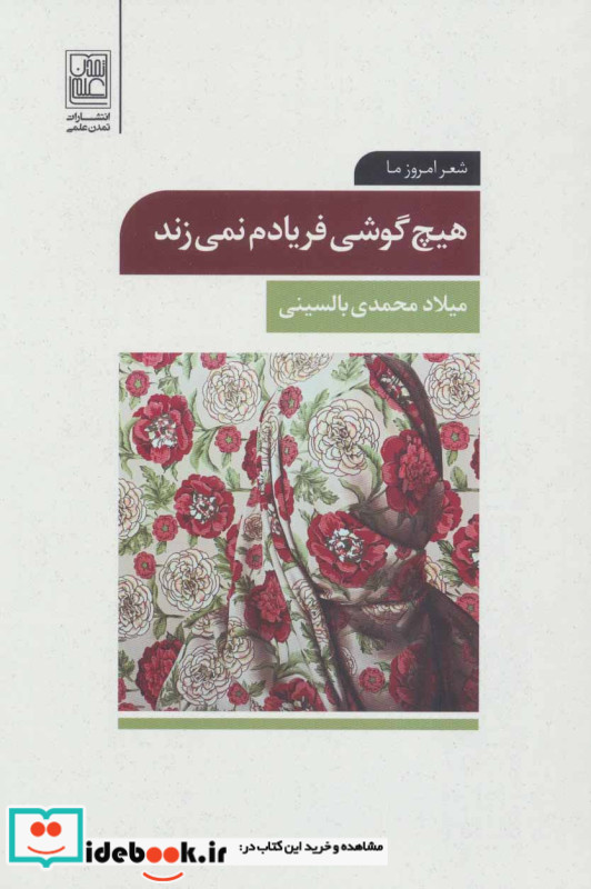هیچ گوشی فریادم نمی زند