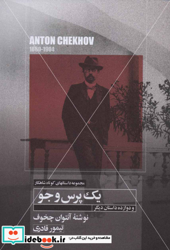 یک پرس و جو و دوازده داستان دیگر