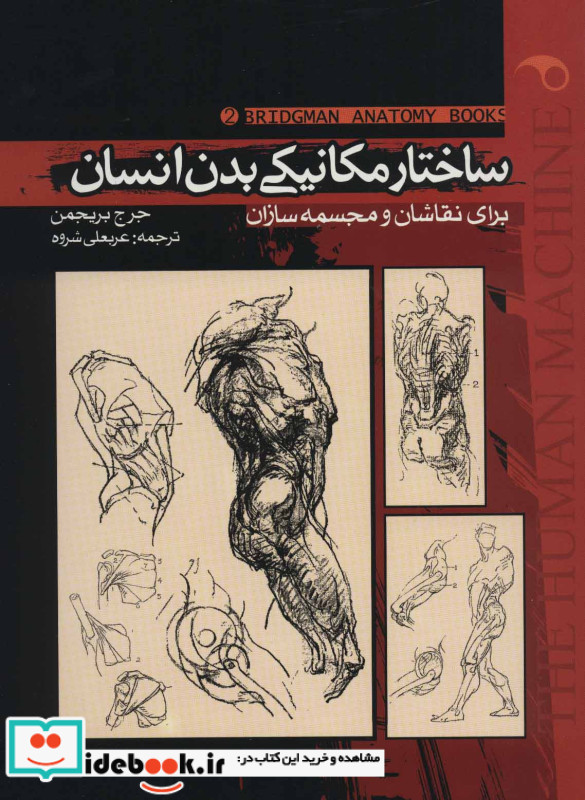 ساختار مکانیکی بدن انسان 2