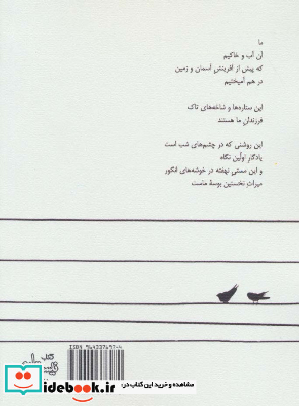 حیرانی شبانه