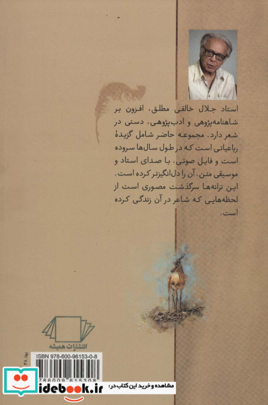 آهوی کوهی در دشت