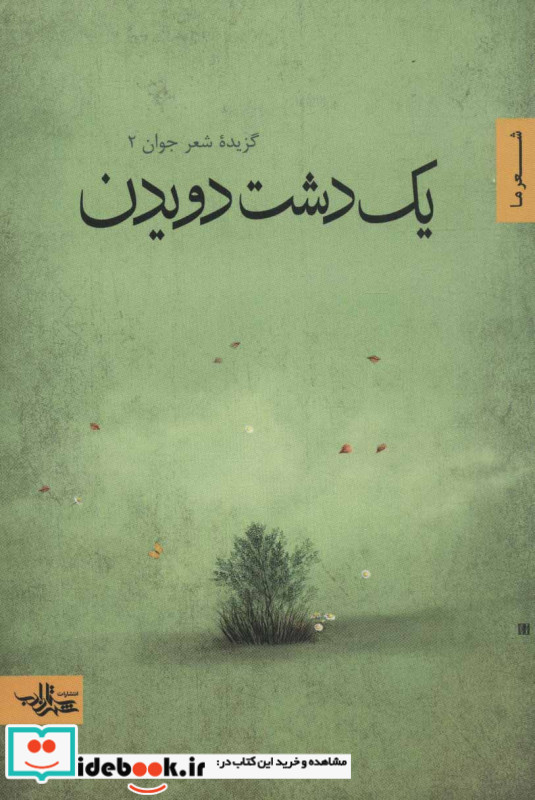 یک دشت دویدن