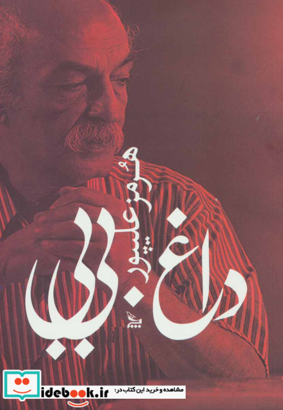 داغ بی بی
