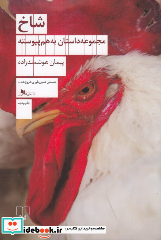 شاخ مجموعه داستان پیوسته