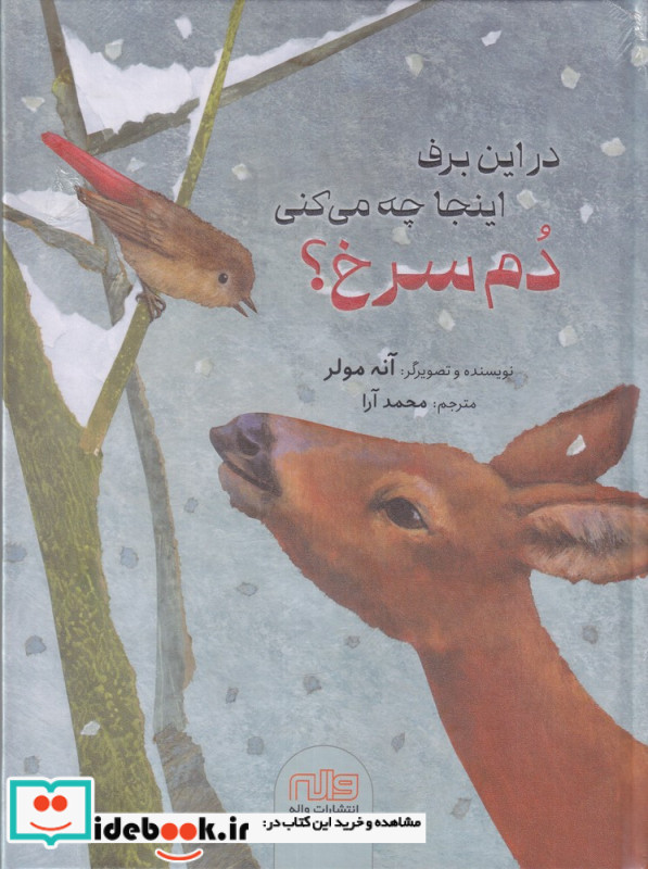 در این برف اینجا جه می کنی دم سرخی؟