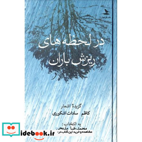 در لحظه های ریزش باران