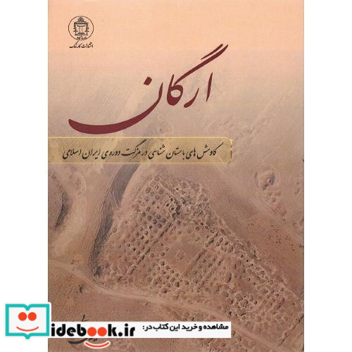 ارگان کاوش های باستان شناسی در مزگت دوره ایران اسلامی