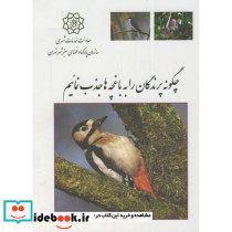 چگونه پرندگان را به باغچه ها جذب نماییم