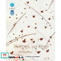 کوچه پس کوچه ها