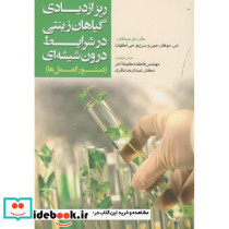 ریز ازدیادی گیاهان زینتی در شرایط درون شیشه ای