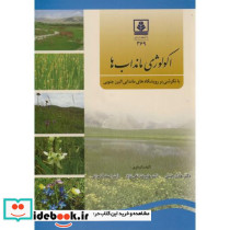 اکولوژی مانداب ها