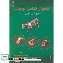 استخوان شناسی توصیفی