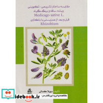 مقایسه ساختار تشریحی - تکوینی ریشه ساقه و برگ گیاه Medicago Sativa L. قبل و بعد از همزیستی با باکتری Rhizobium
