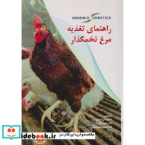 راهنمای تغذیه مرغ تخمگذار