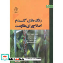زنگ های گندم اصلاح برای مقاومت