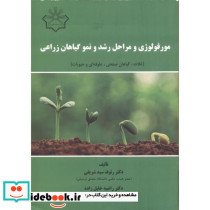 مورفولوژی و مراحل رشد و نمو گیاهان زراعی