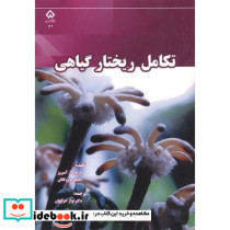تکامل ریختار گیاهی