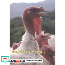 پرورش بوقلمون های تجاری