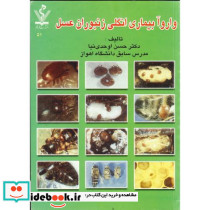 واروآ بیماری انگلی زنبوران عسل
