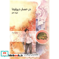 در حصار دیوارها