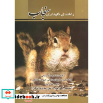 راهنمای نگهداری سنجاب