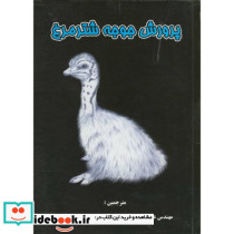 پرورش جوجه شترمرغ