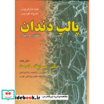 پالپ دندان
