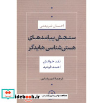 سنجش پیامدهای هستی شناسی هایدگر