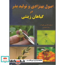 تو امیدم باش
